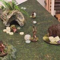 Hide Stone and Bone 4