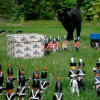 Little Wars 2