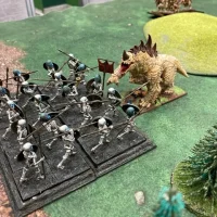 OPR Age of Fantasy Regiments 2